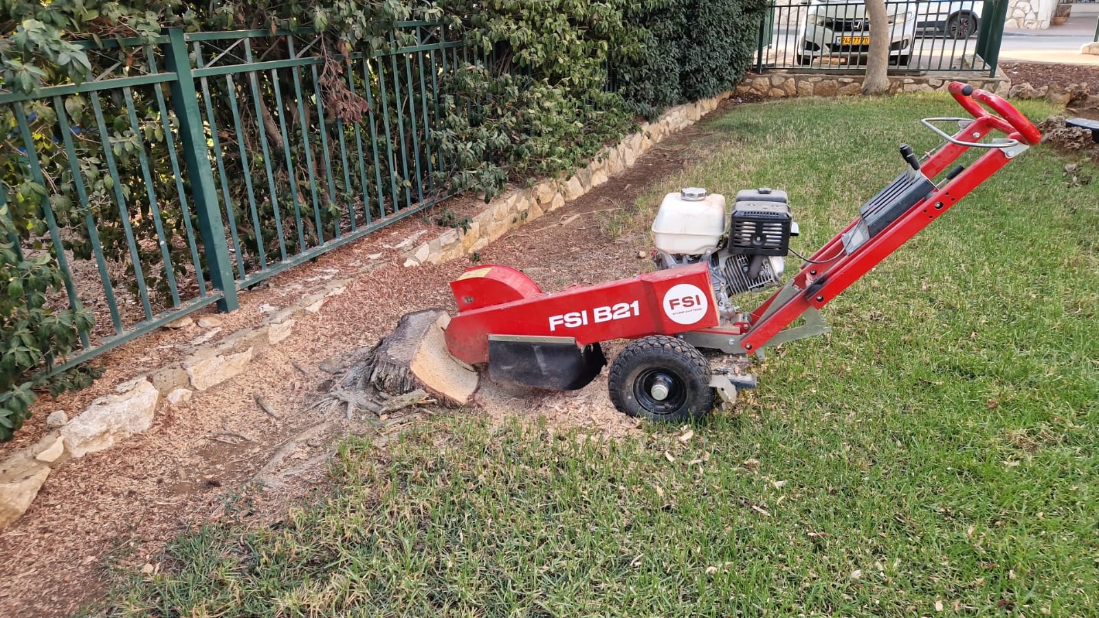 עבודת גיזום 8